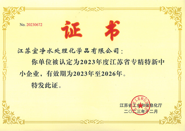 江苏省专精特新证书